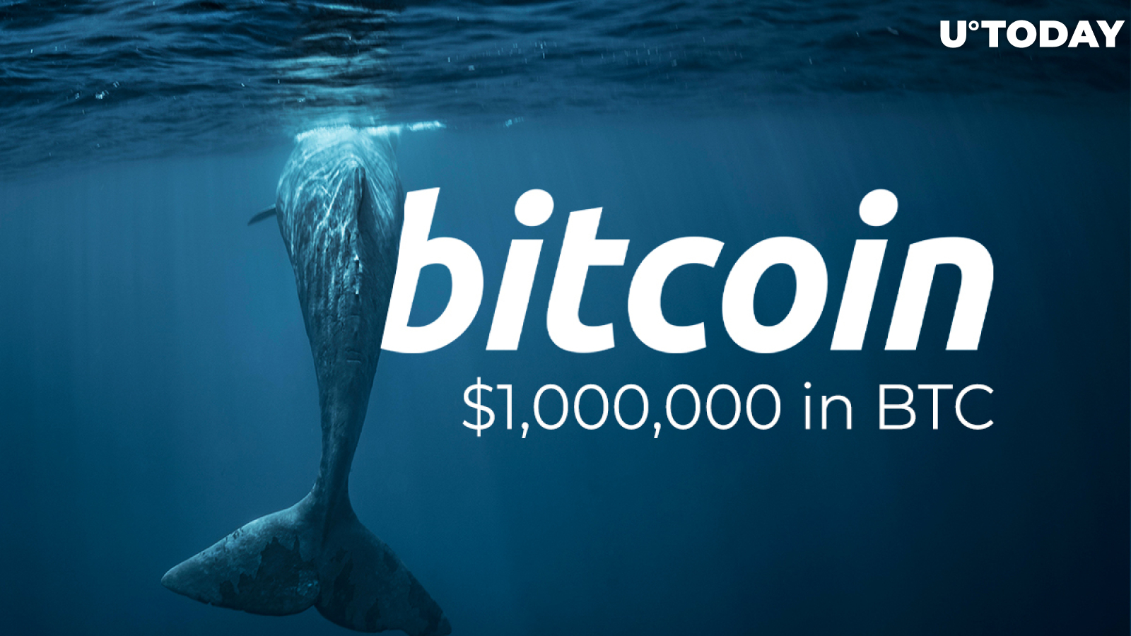 18,000 Bitcoin Whales Now Hold Minimum of $1,000,000 in BTC Each: Glassnode Data