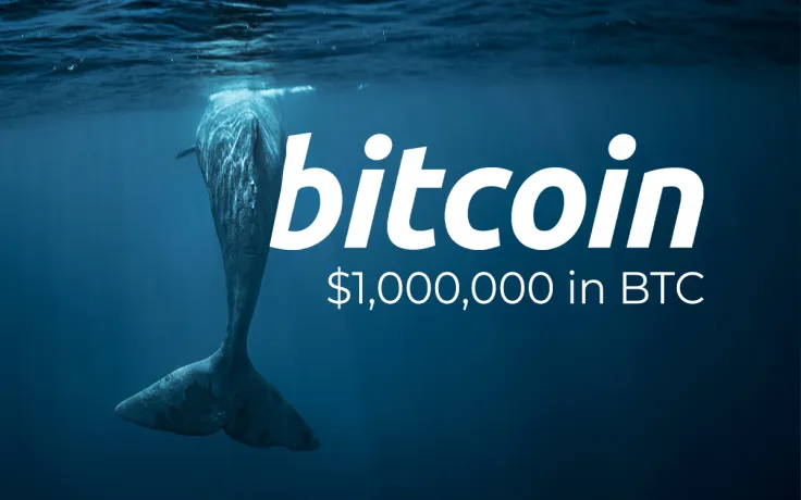 18,000 Bitcoin Whales Now Hold Minimum of $1,000,000 in BTC Each: Glassnode Data
