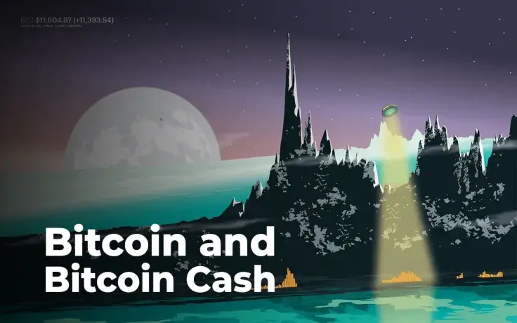 Artist Turns Bitcoin's Chart Into Gorgeous Vaporwave Print 