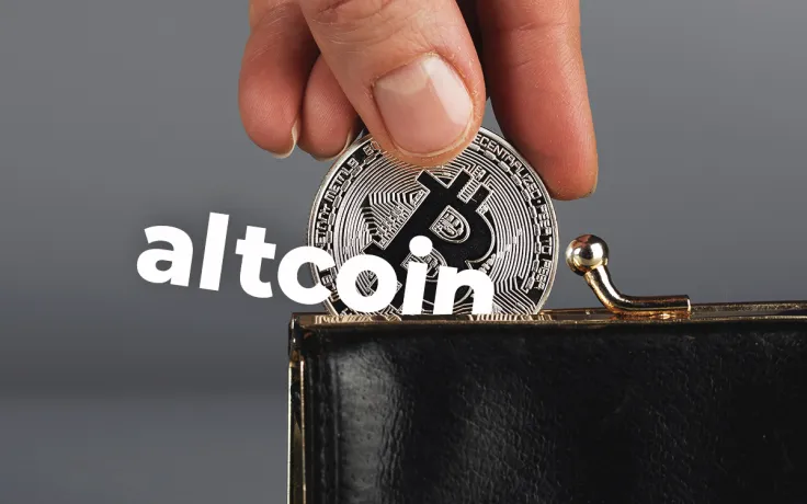 Strategist:Largest Bitcoin Holders Are Also the Biggest Altcoin Holders