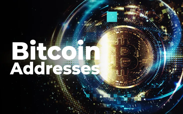 Number of Bitcoin Addresses Storing Over 1,000 BTC Hits New All-Time High