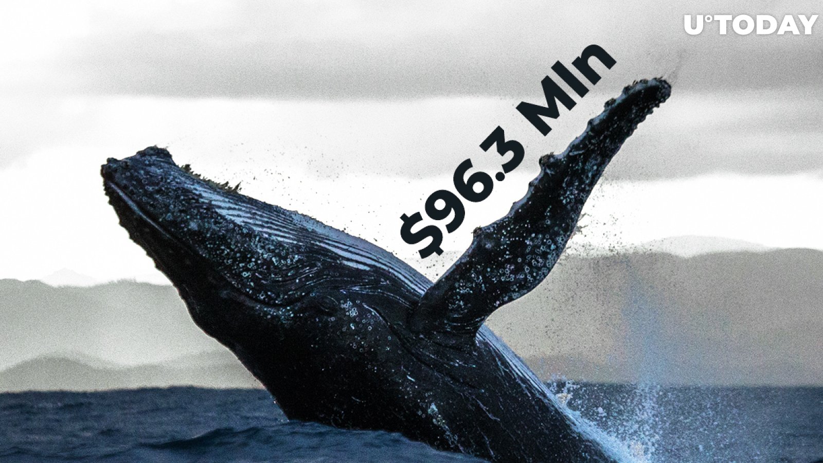 Crypto Whales Transfer $96.3 Mln In Bitcoin While BTC Transaction Size Is 30.8% Up