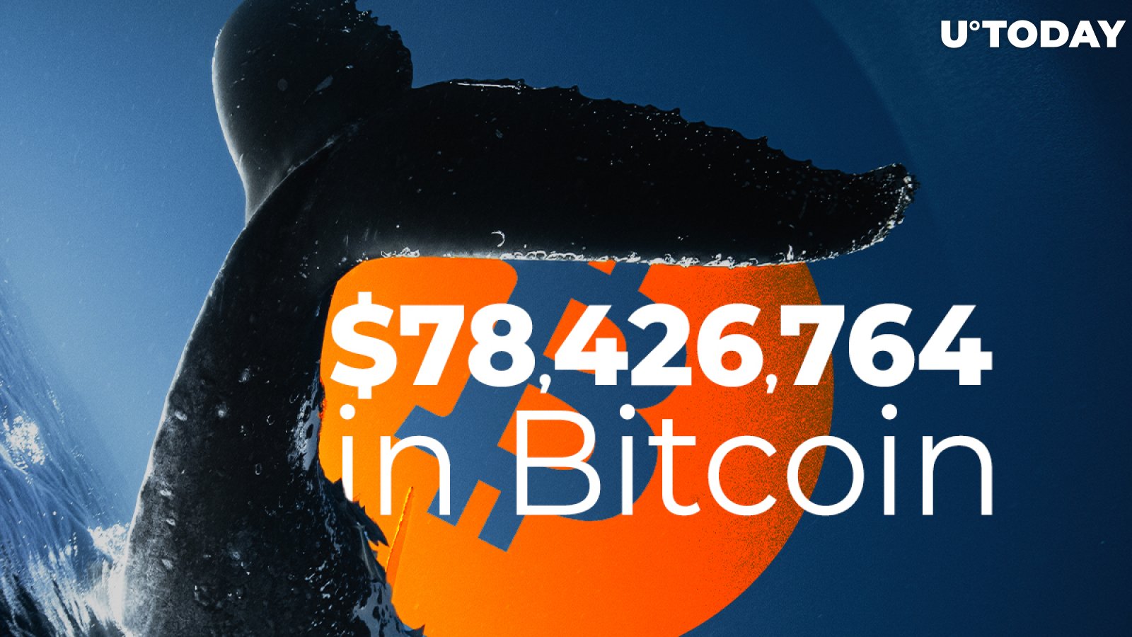 Whales and Binance Move $78,426,764 in Bitcoin While BTC Mean Transfer Volume Hits New Major High