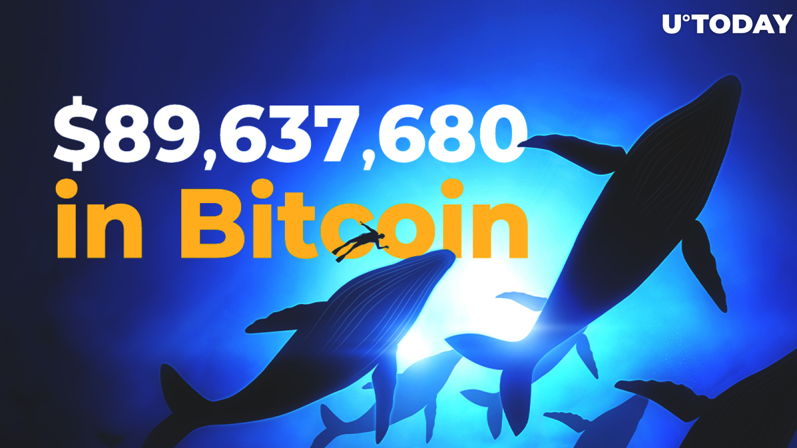 Whales Transfer $89,637,680 in Bitcoin As BTC Strives to Remain Above $10,000