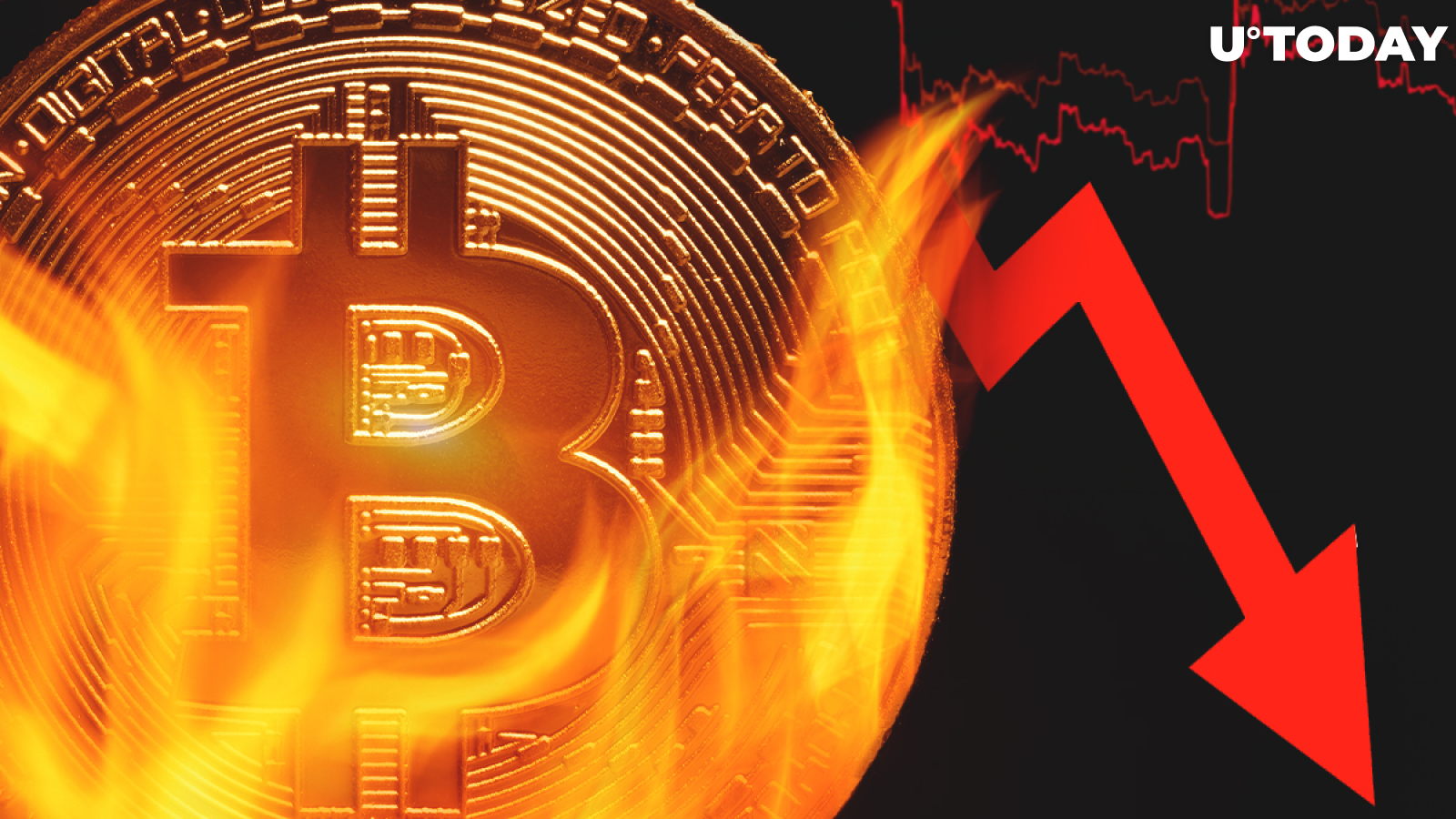Number of Bitcoin Wallets Storing 10+ BTC Sees Major Drop as BTC Is Struggling Above $10,000