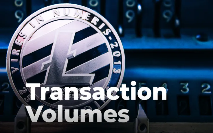 Litecoin Transaction Volume Spikes 55.8% as Pornhub Adopts LTC