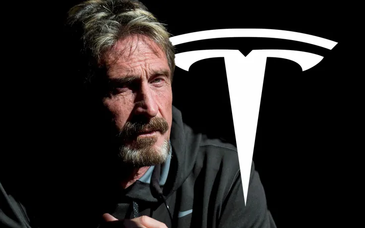 John McAfee's Tesla Shilling Wasted as Tesla Shares Plunge 13%