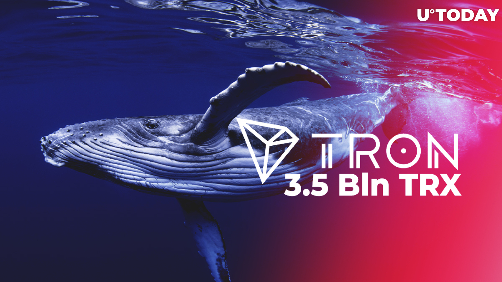 3.5 Bln TRX Wired by Tron Foundation and Crypto Whales in One Hour