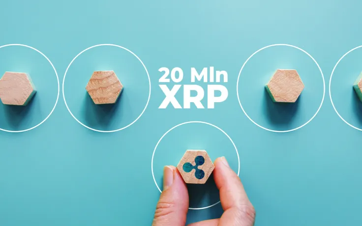 Ripple Giant Transfers 20 Mln XRP, Sending Half to Bitstamp ODL Corridor