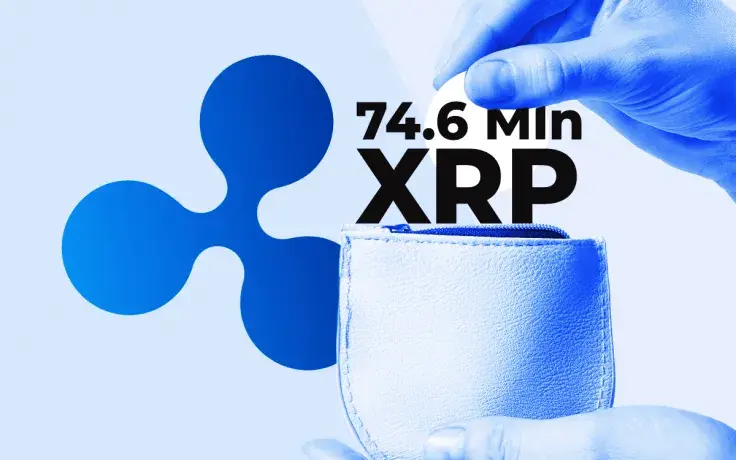 Ripple Shifts Juicy Lump to Its OTC Distribution Wallet—Big Part of 74.6 Mln XRP