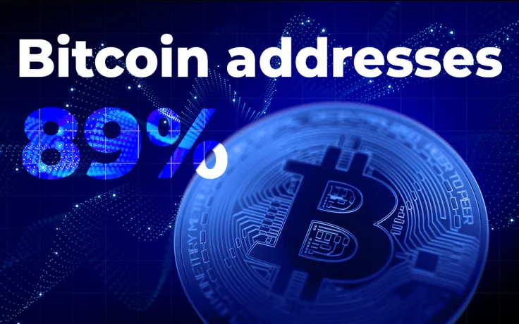 89% of Bitcoin Addresses Are in Profit, On-Chain Data Finds