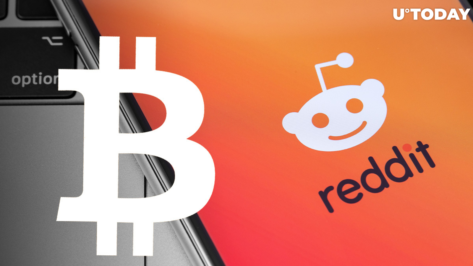 Redditors More Interested in Bitcoin Than Sex  