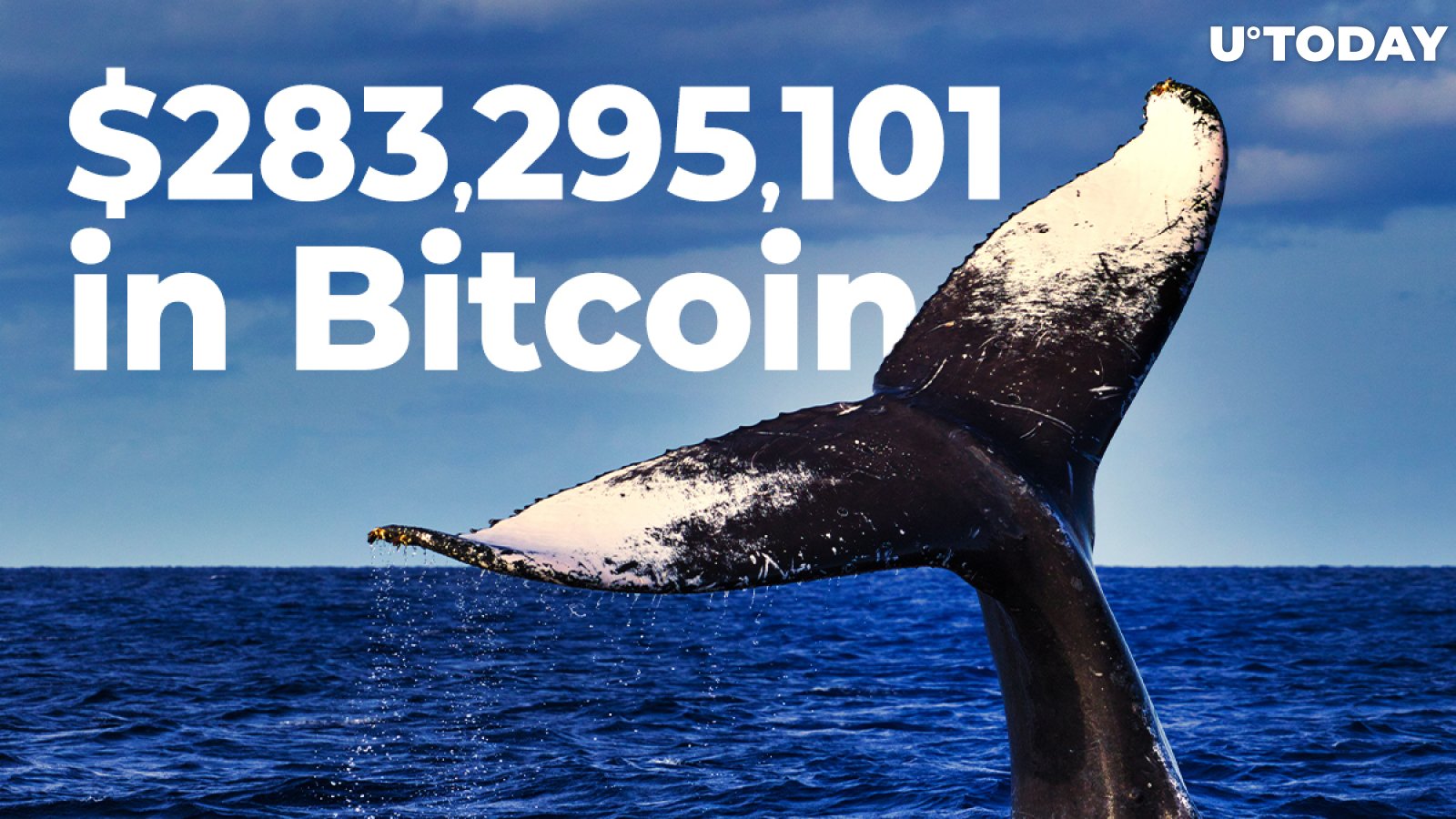 $283,295,101 in Bitcoin Shifted by Whales for Just $22 Fee As BTC holds at $13,000