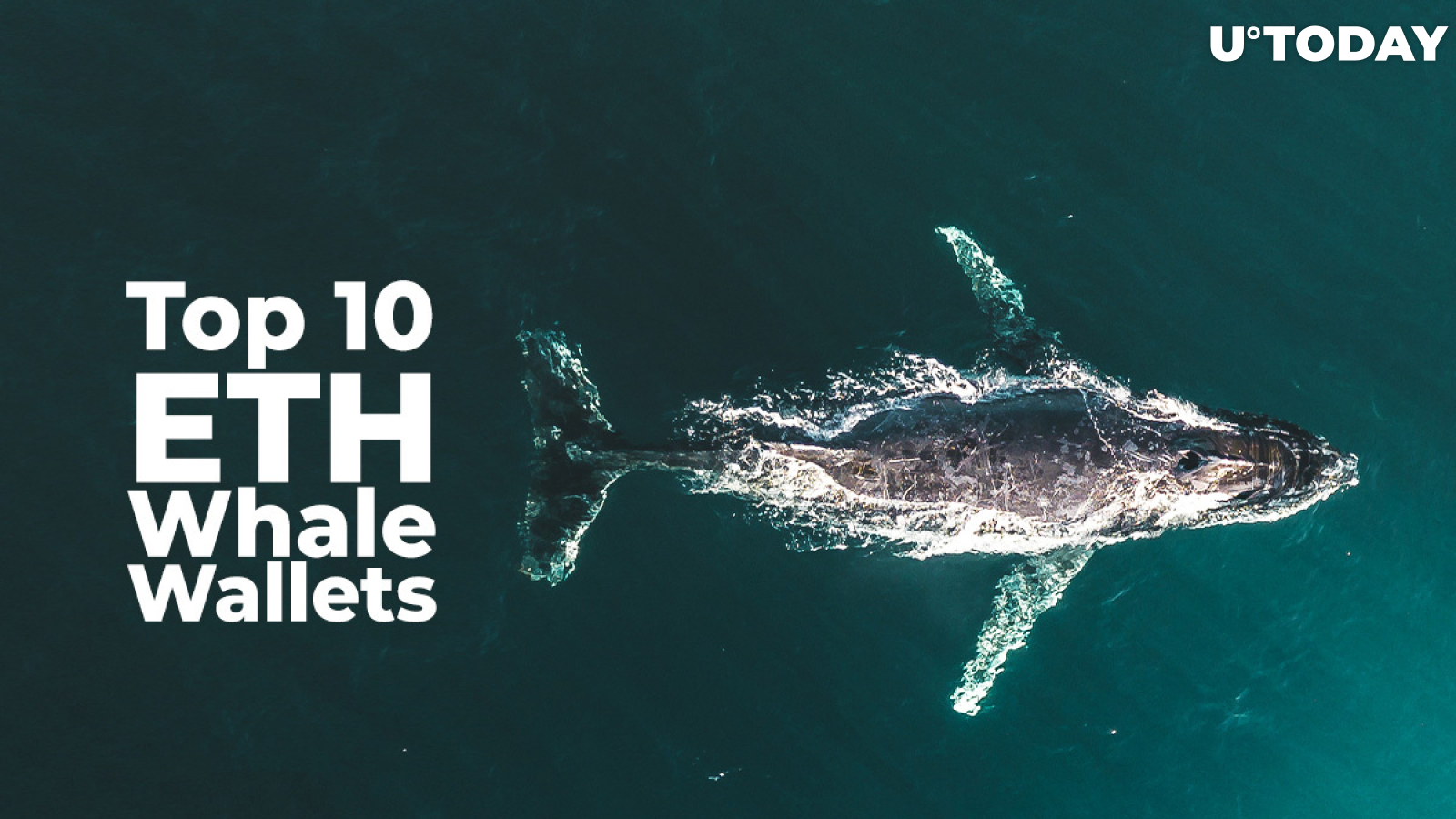 Top 10 Crypto Whales Confident in ETH as They Withdraw 20.5% ETH from Exchanges