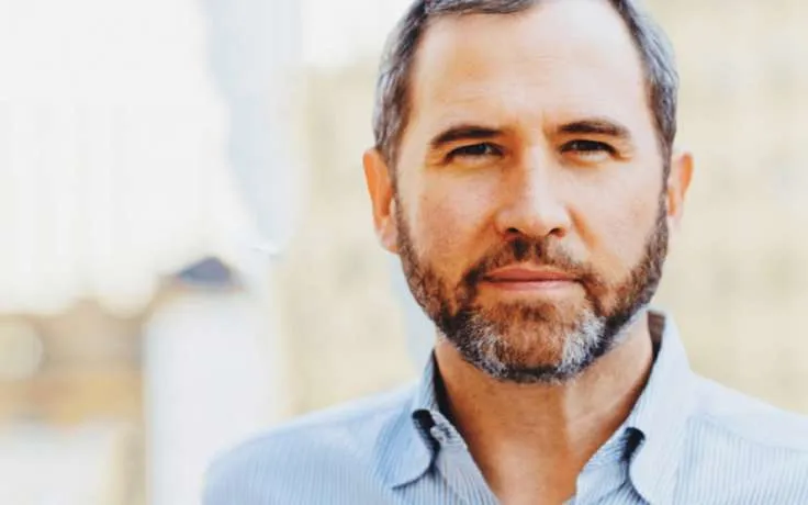 Ripple CEO Cautions Public Companies Against Holding Bitcoin