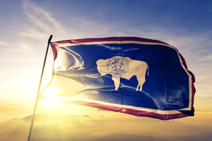 Wyoming Senator-Elect Talks About Bitcoin on ABC News