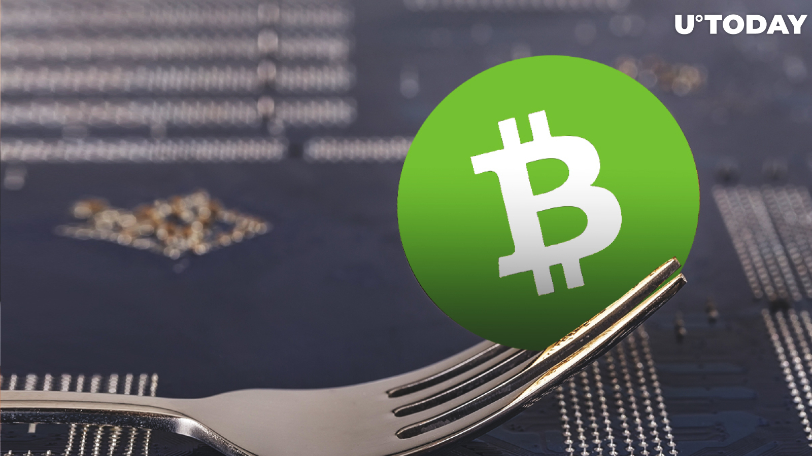 Binance supports bitcoin cash fork обмен валюты курс рязань