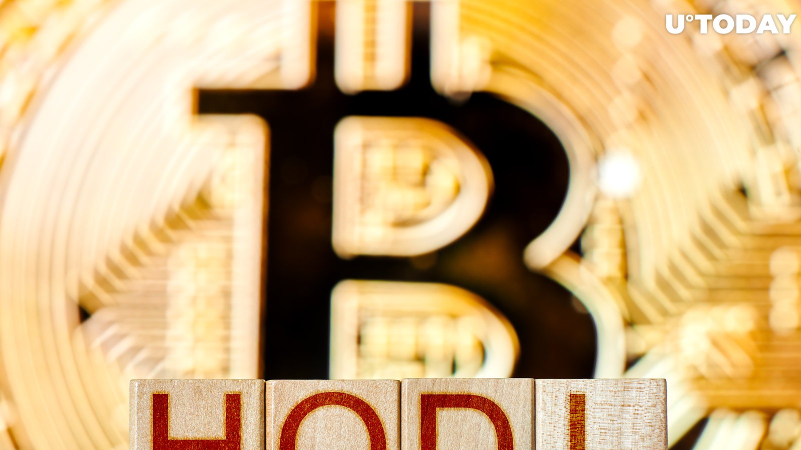Bitcoiners Celebrating #HODLDay. See The Post That Started It 