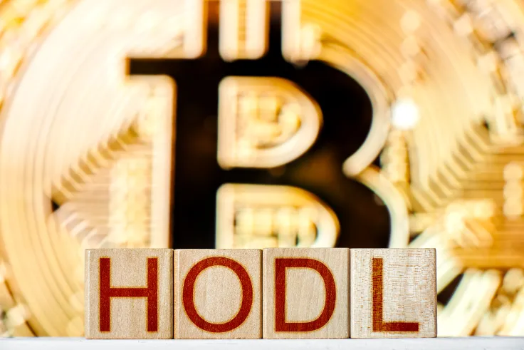 Bitcoiners Celebrating #HODLDay. See The Post That Started It