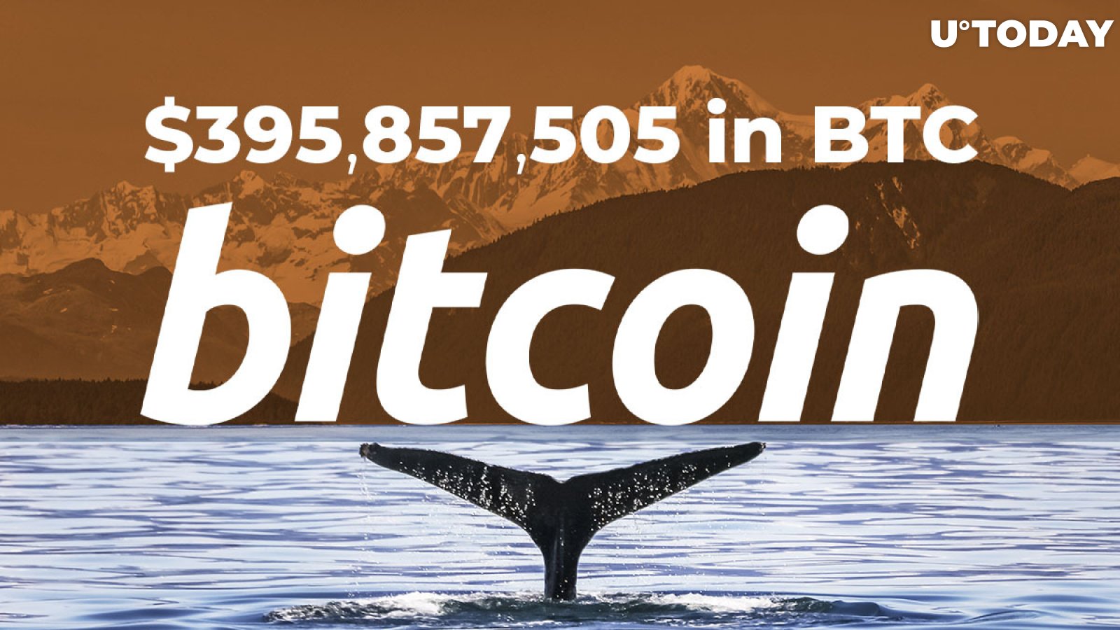 Bitcoin Whales Shift $395,857,505 in BTC for Fee Banks Would Never Offer