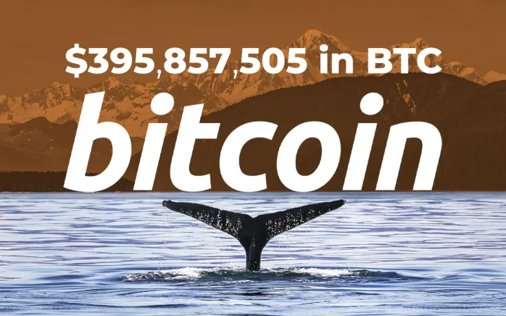 Bitcoin Whales Shift $395,857,505 in BTC for Fee Banks Would Never Offer