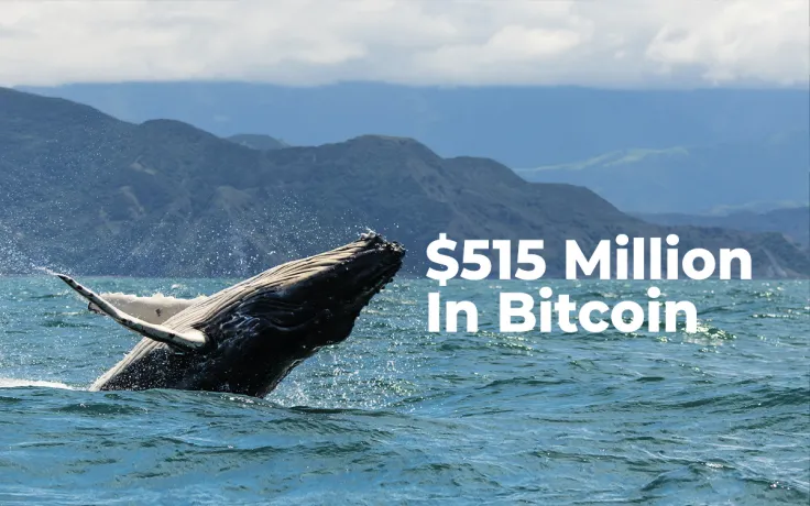 Whales Shift Whopping $515 Million In Bitcoin in Past Ten Hours 