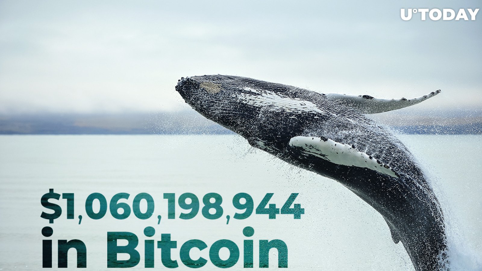 Whales Shift $1,060,198,944 in Bitcoin as BTC Is Back Above $23,000