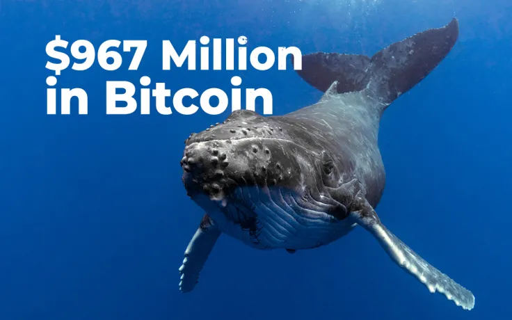 Whales Shift $967 Million in Bitcoin in Past Two Days While BTC Trades Slightly Under $27,000
