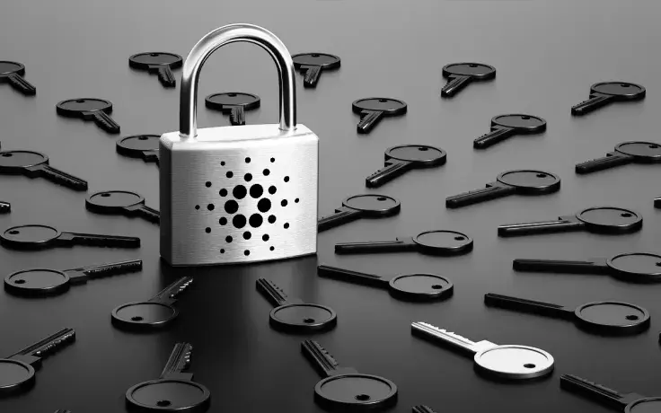 Cardano Prepares to Integrate Token Locking Before Introducing Smart Contracts