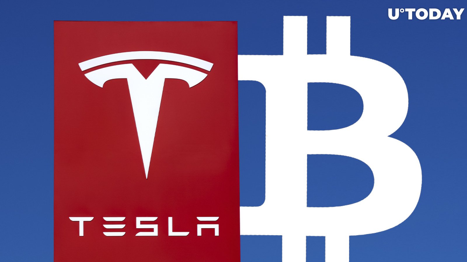 Bitcoin and Tesla Stock Likely to Halve in Value: Deutsche Bank Survey