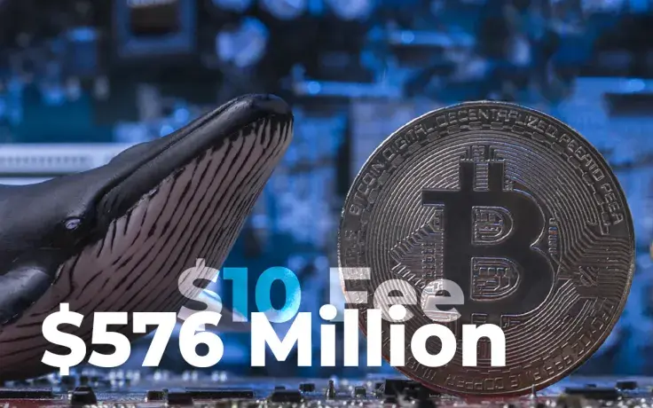 Crypto Whale Shifts $576 Million in Bitcoin for Just $10 Fee