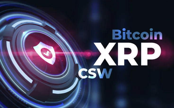 XRP a Security, Bitcoin Not Ponzi, CSW Not Satoshi: Top Crypto Lawyer Stephen Palley