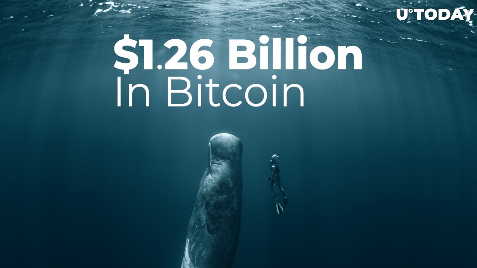 Crypto Whales Shifted Whopping $1.26 Billion In Bitcoin As BTC Broke Above 34,200 