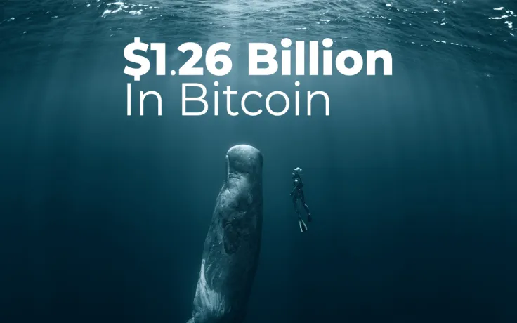 Crypto Whales Shifted Whopping $1.26 Billion In Bitcoin As BTC Broke Above 34,200