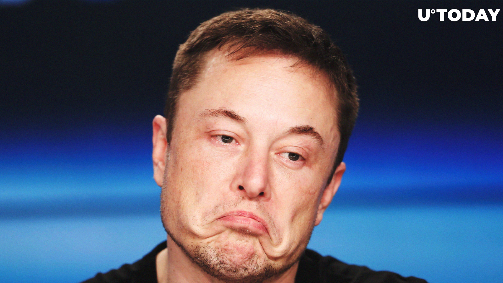 Bitcoin and Tesla Plunge While Elon Musk Sends Dogecoin Soaring Yet Again