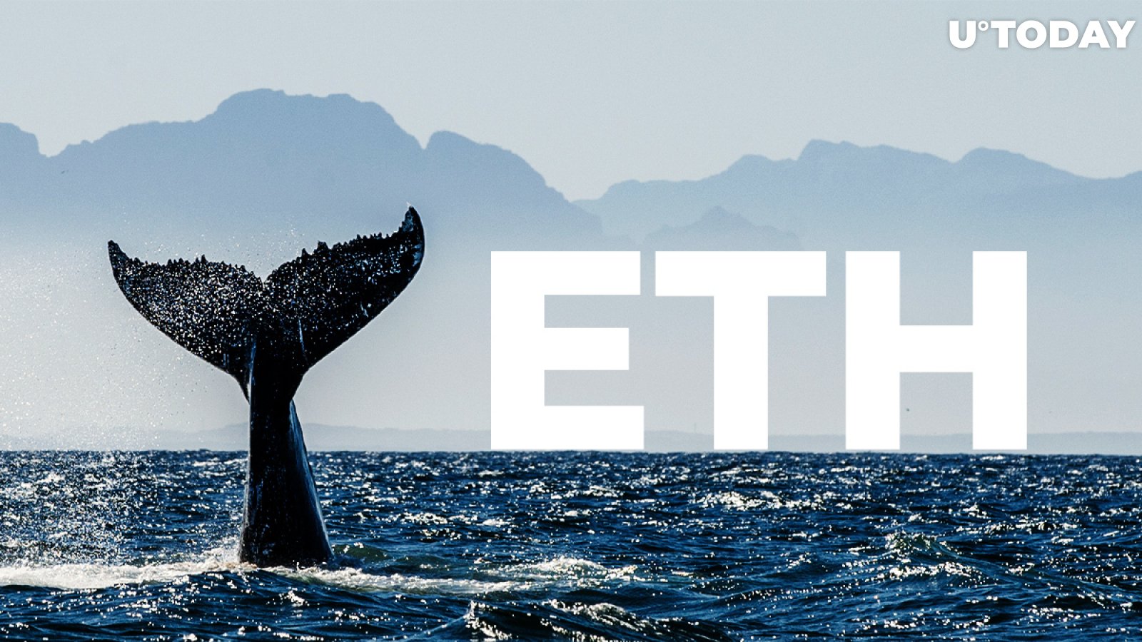 Mid-Sized Whales Are Dumping ETH, While Smaller Holders Are Acquiring It, Here's What It Means