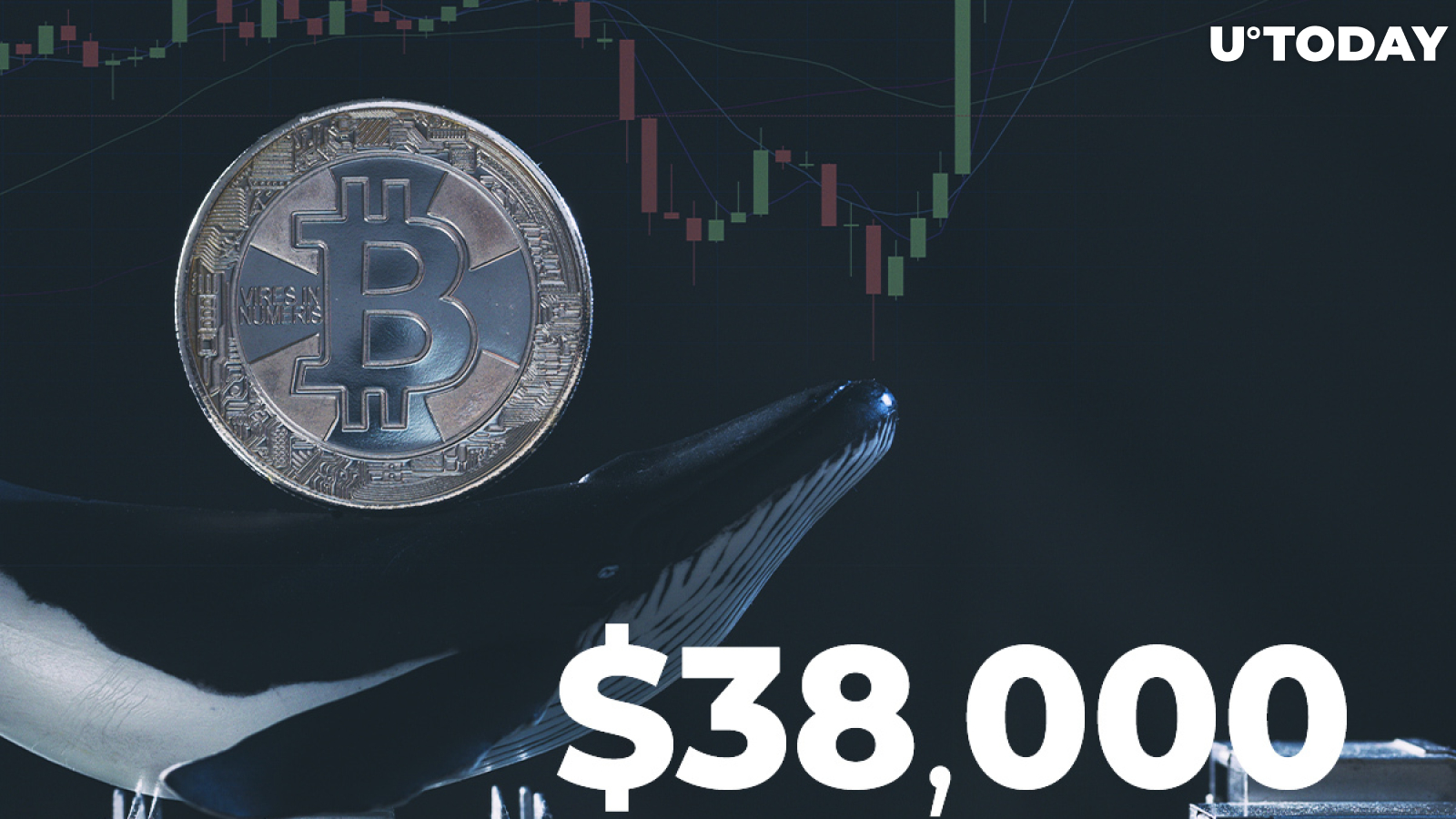 Number of Mid-Sized Bitcoin Whales Hit New All-Time High as BTC Surged Above $38,000
