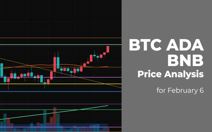 BTC, ADA and BNB Price Analysis for February 6