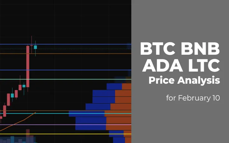 BTC, BNB, ADA and LTC Price Analysis for February 10