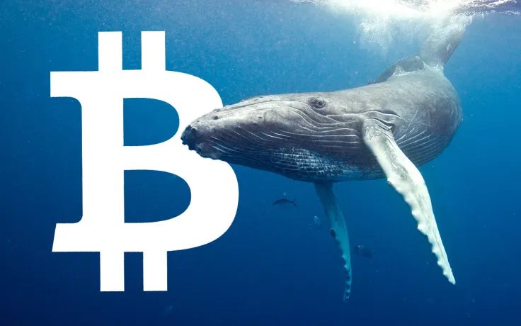 Bitcoin (BTC) Whales "Bought the Dip," Glassnode Data Says