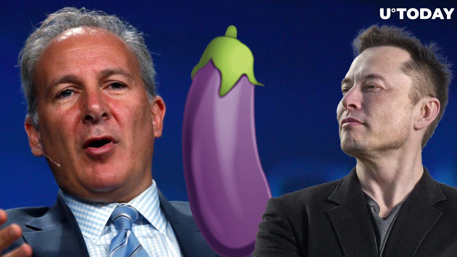 Elon Musk Sends Eggplant Emoji to Peter Schiff About Bitcoin, Here's What It Means