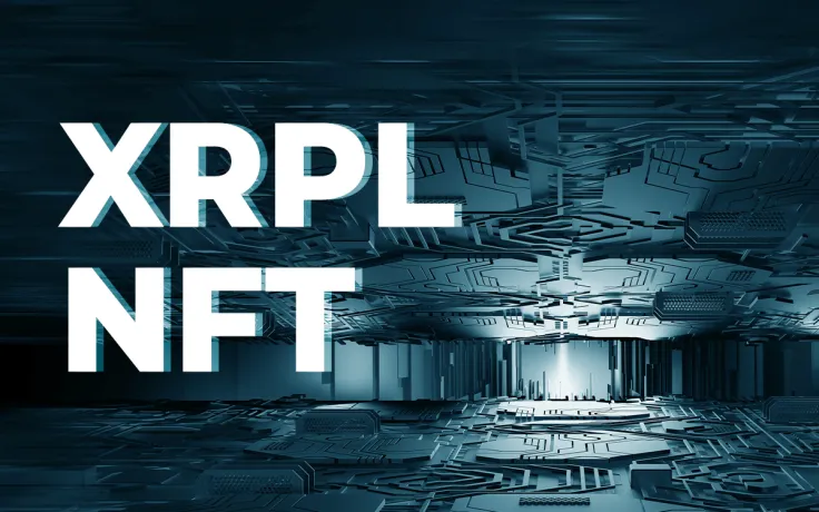 Here's How XRPL Operates NFTs: Report Released