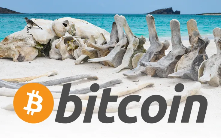 As Bitcoin (BTC) Drops to $43,300, Number of Whales Hits Two-Year Low