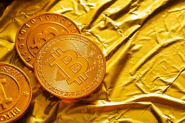 Cryptocurrencies Have Use Cases, Gold Does Not: President Clinton's Former Advisor