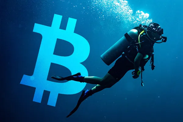 Number of Entities with 1,000+ Bitcoins on Balance Plunges Significantly: Possible Reasons