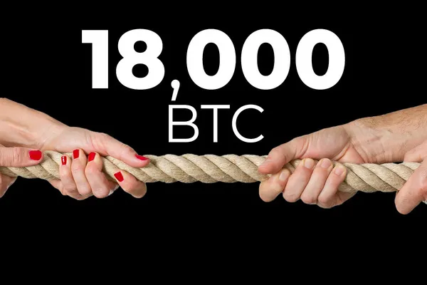 Popular Analytics Firms Can’t Agree on 18,000 BTC Transfer Linked to Gemini, Here’s Why They Argue