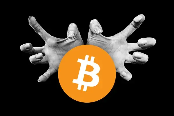 Musk Strikes Back at Portnoy, DOGE Issues and Large XRP Movements: Tuesday’s Hottest News From U.Today 