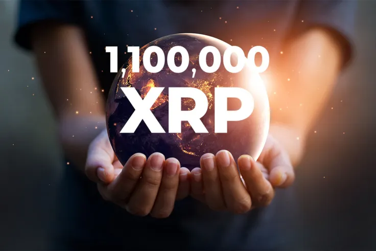 1,100,000 XRP Saved from "Ending Up in Wrong Hands" by XRP Forensics: See Statistics