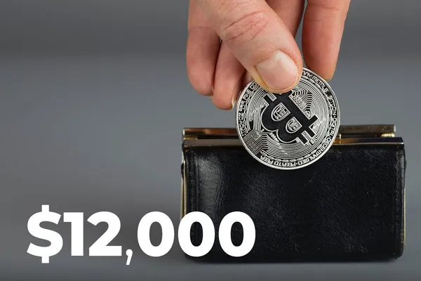 Long-Term Bitcoin Holders Start Accumulating BTC First Time Since It Was $12,000: Glassnode