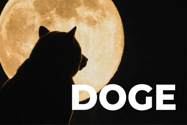 DOGE Regains Top-5 Spot, Surging Over 38% to New ATH